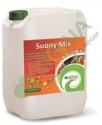 Sunny Mix Zn