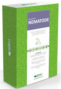 Nematode